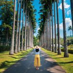 149533718-woman-exploring-palm-alley-at-royal-