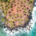 Coconut-Tree-Hill-Mirissa-Sri-Lanka